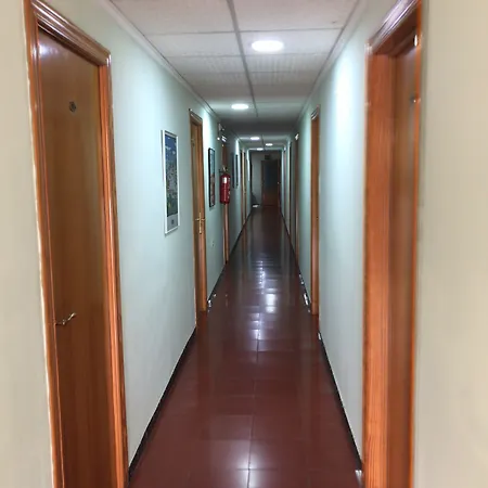 Tropical * أوليفا