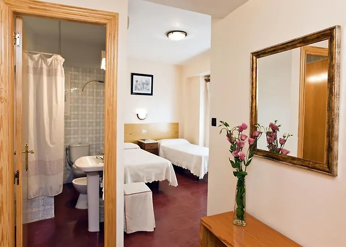 Tropical Hotel Oliva